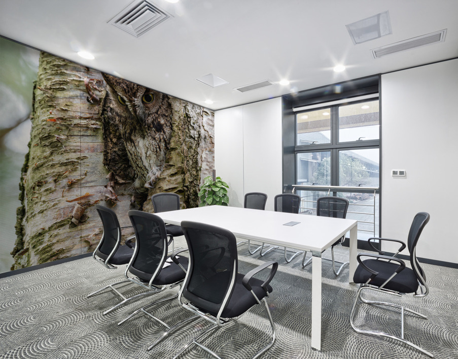 Western Screech Owl Wall Printing