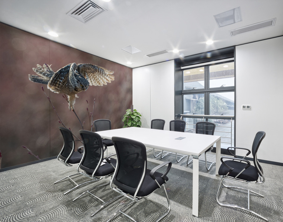 Northern Hawk Owl Wall Printing