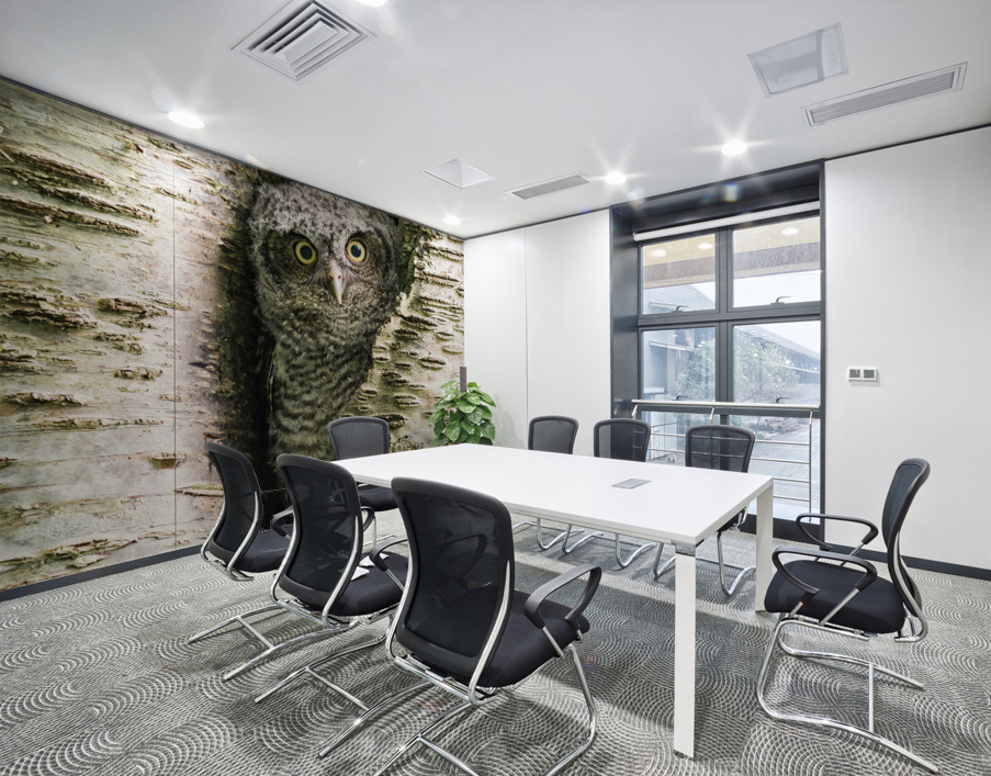 Western Screech Owlet Wall Printing