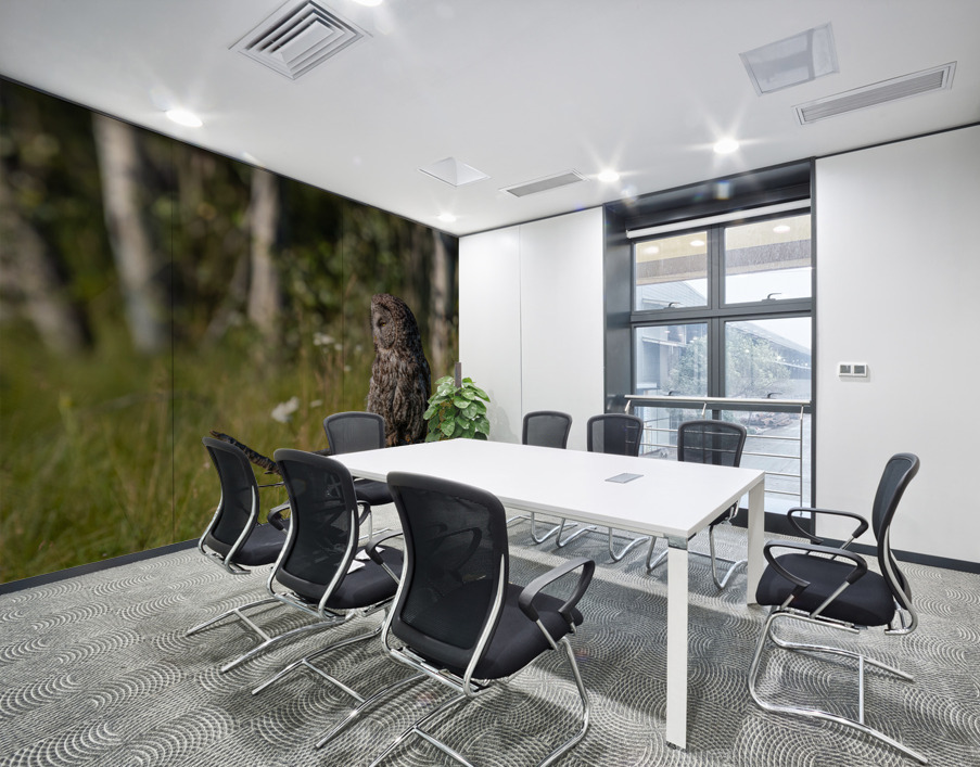 Great Gray Owl Wall Printing