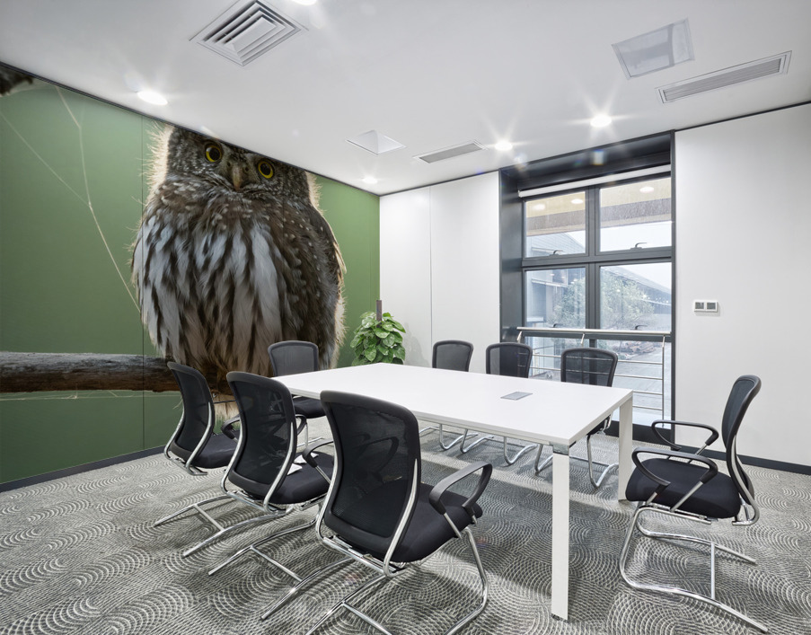 Northern Pygmy Owl Wall Printing