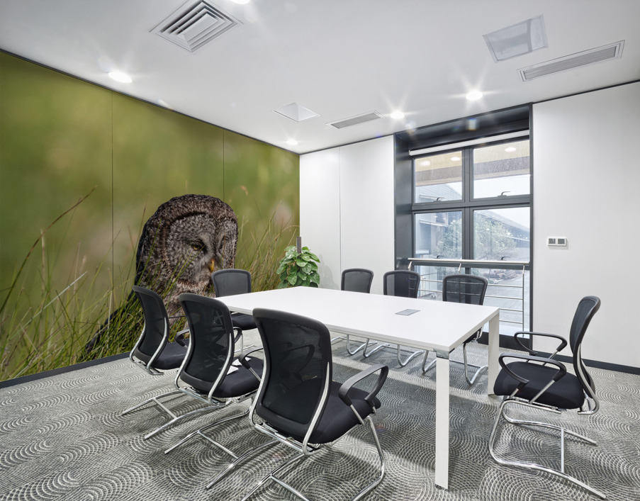 Great Gray Owl Wall Printing