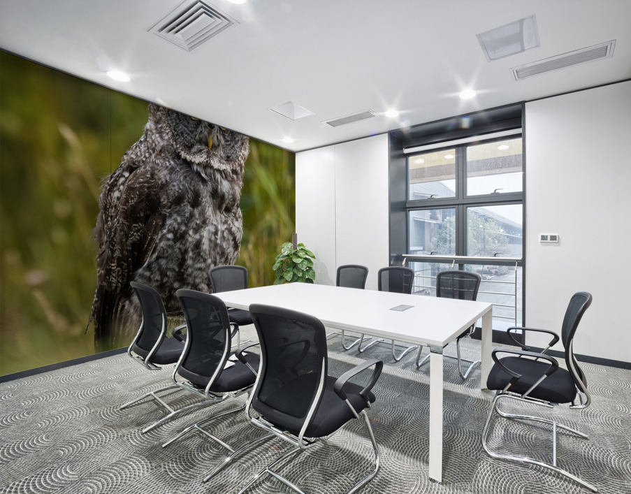 Great Gray Owl Wall Printing