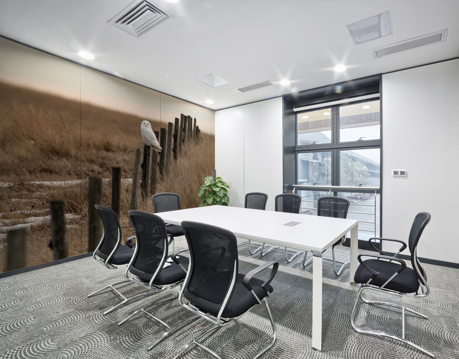 Snowy Owl Wall Printing