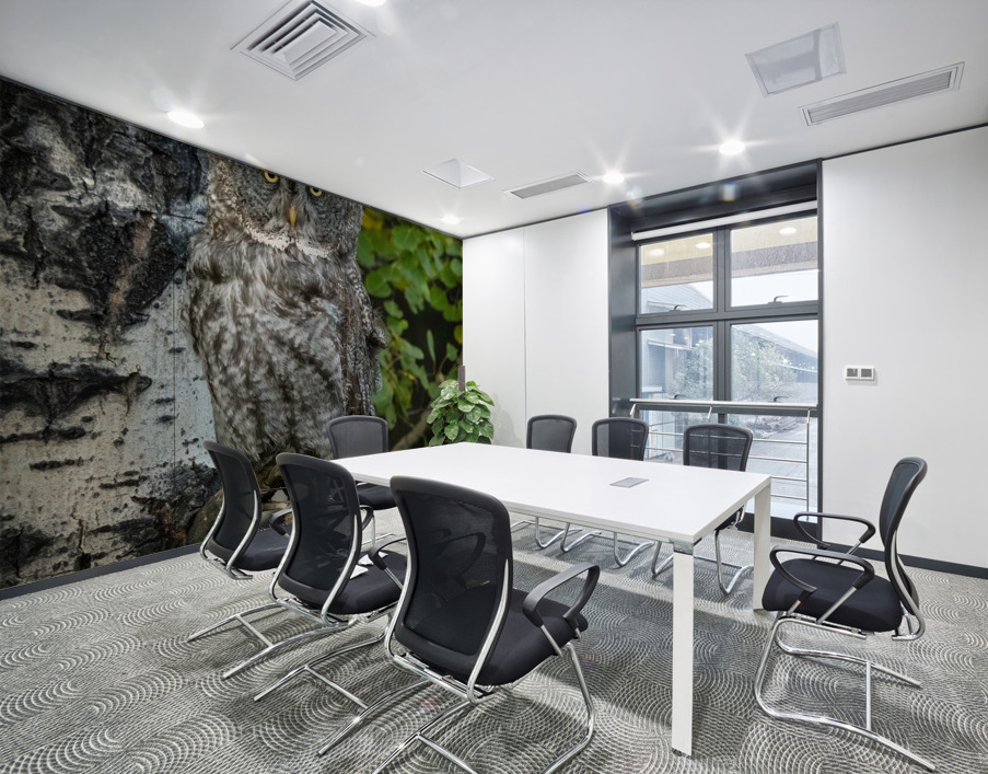 Great Gray Owl Wall Printing