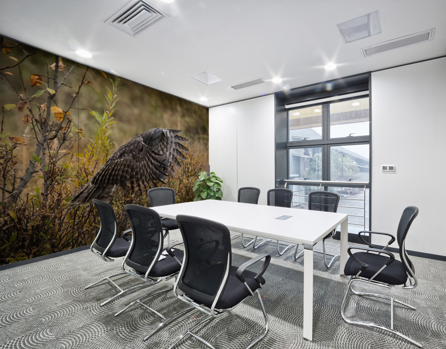 Great Gray Owl Wall Printing