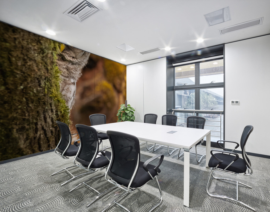 Barred Owlet Wall Printing