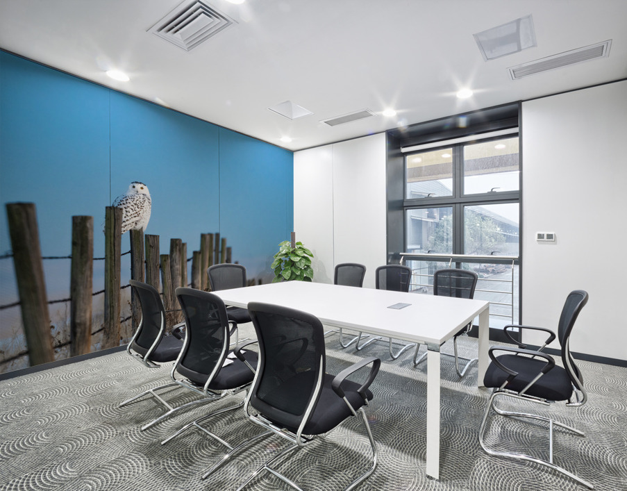 Snowy Owl Wall Printing