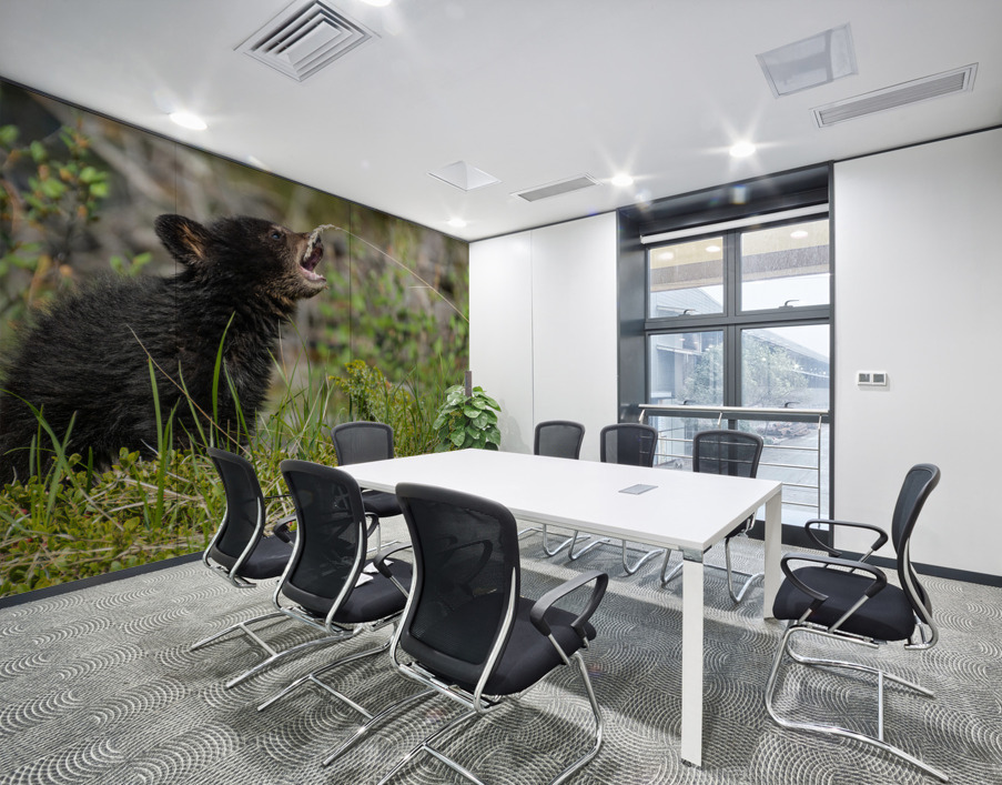 Black Bear Cub Wall Printing