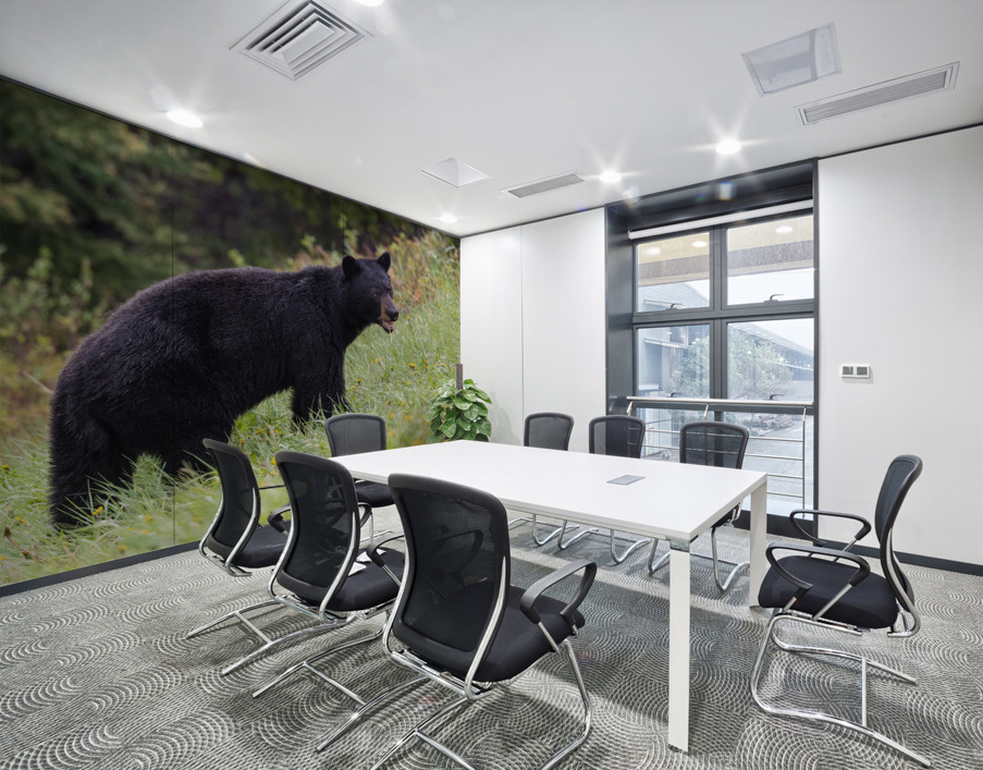 Black Bear Wall Printing