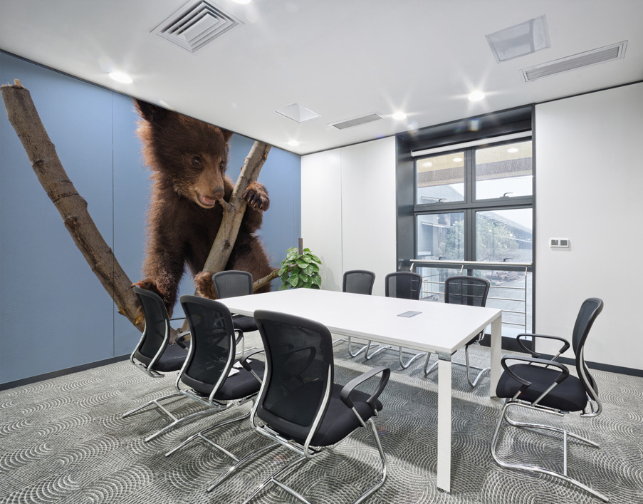 Black Bear Cub Wall Printing