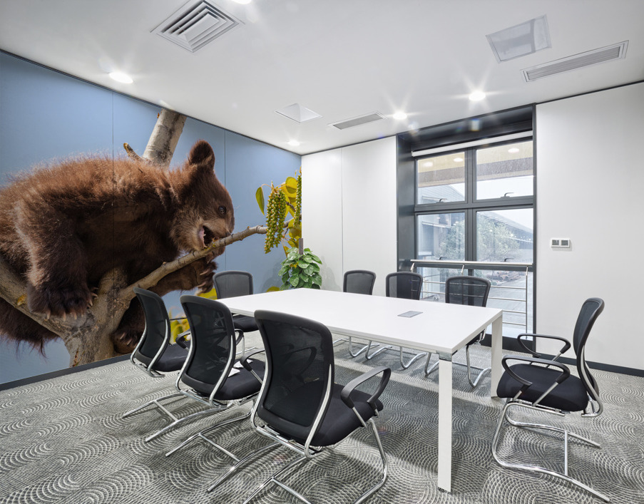 Black Bear Cub Wall Printing