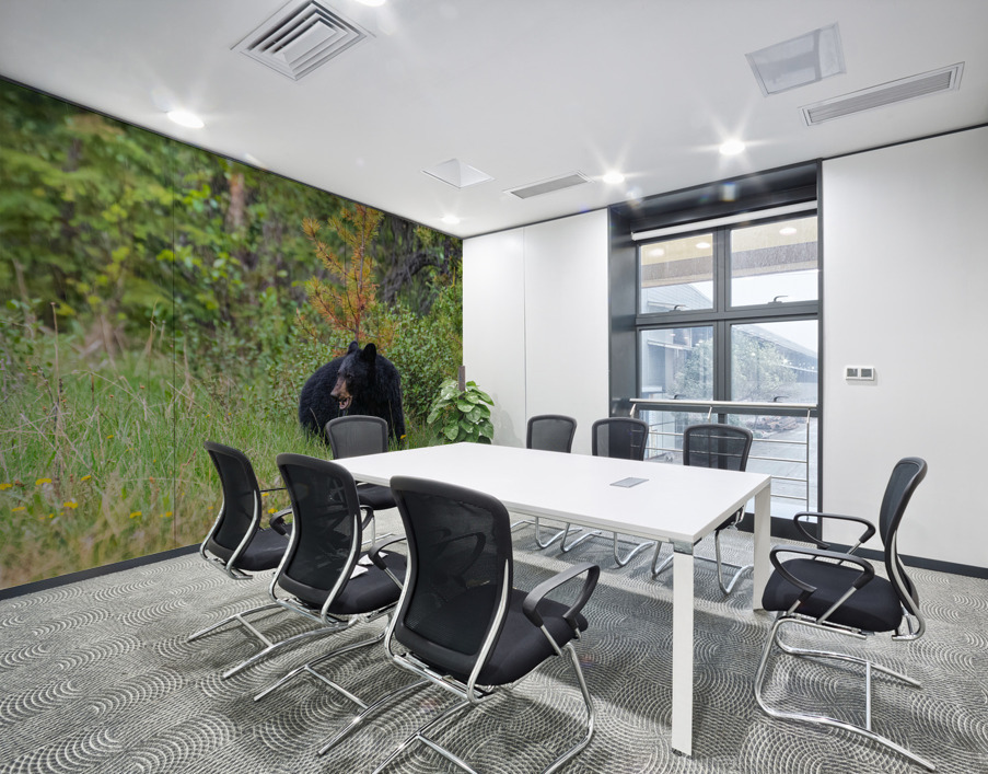 Black Bear Wall Printing