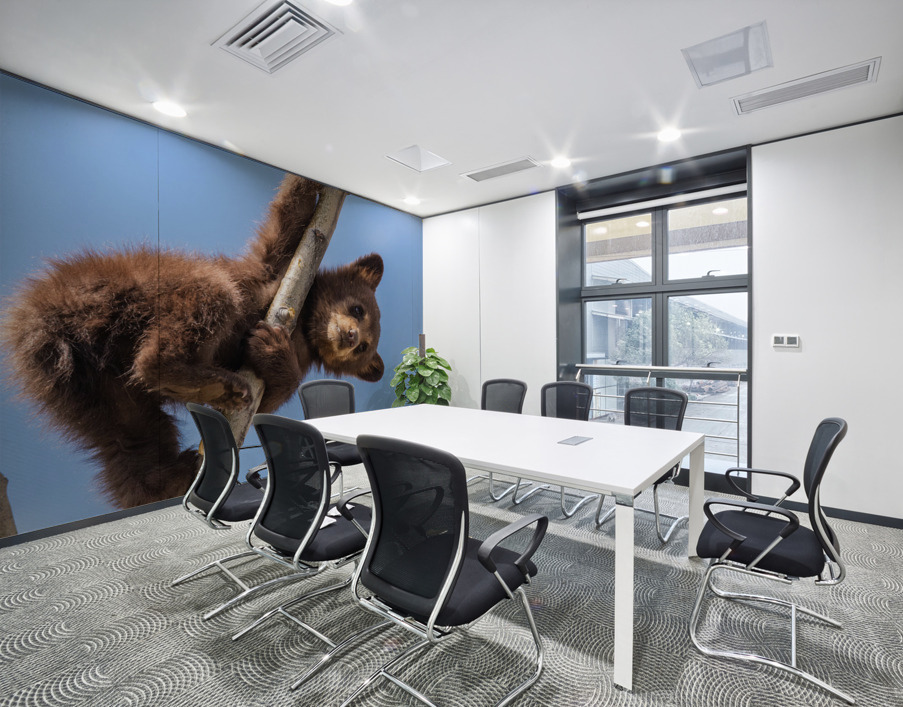 Black Bear Cub Wall Printing