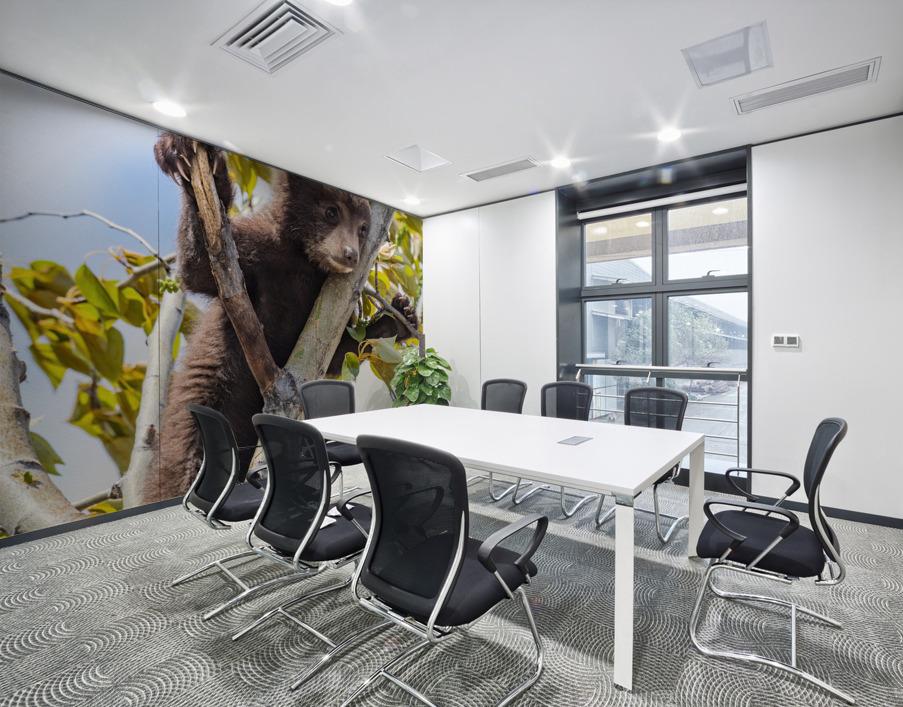 Black Bear Cub Wall Printing