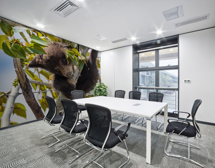 Black Bear Cub Wall Printing