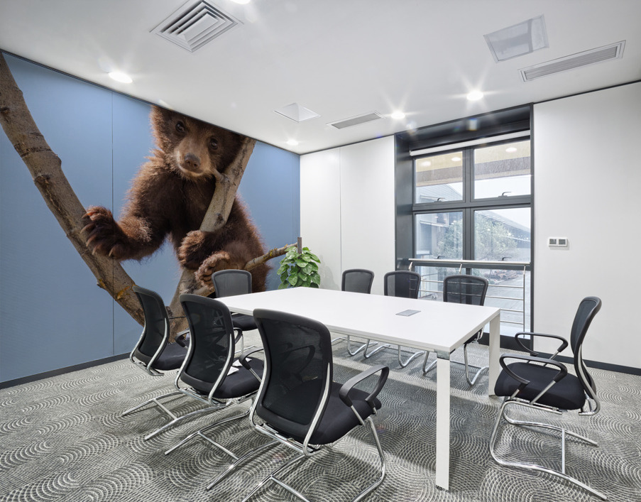 Black Bear Cub Wall Printing