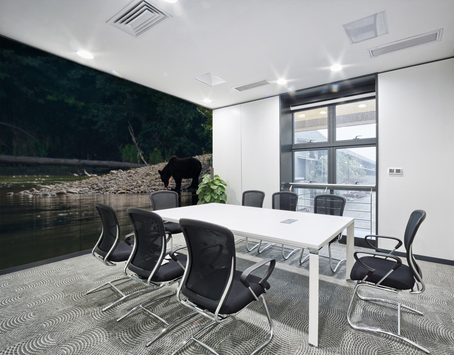 Grizzly Sow Wall Printing