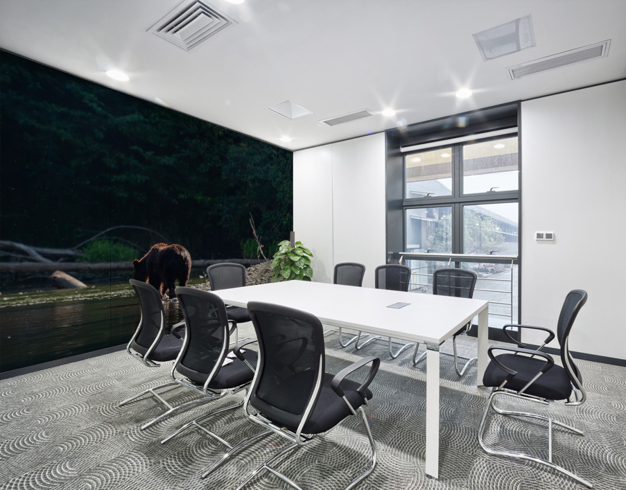 Grizzly Sow Wall Printing