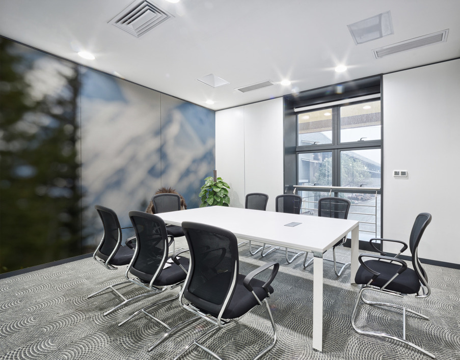 Grizzly Boar Wall Printing