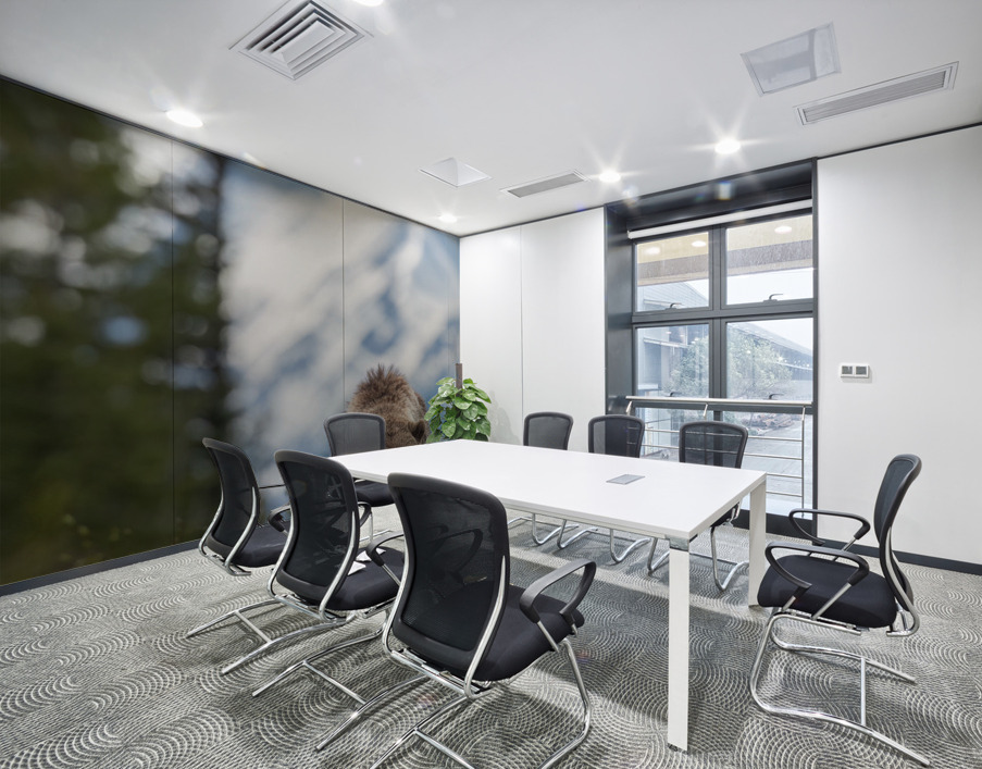 Grizzly Boar Wall Printing