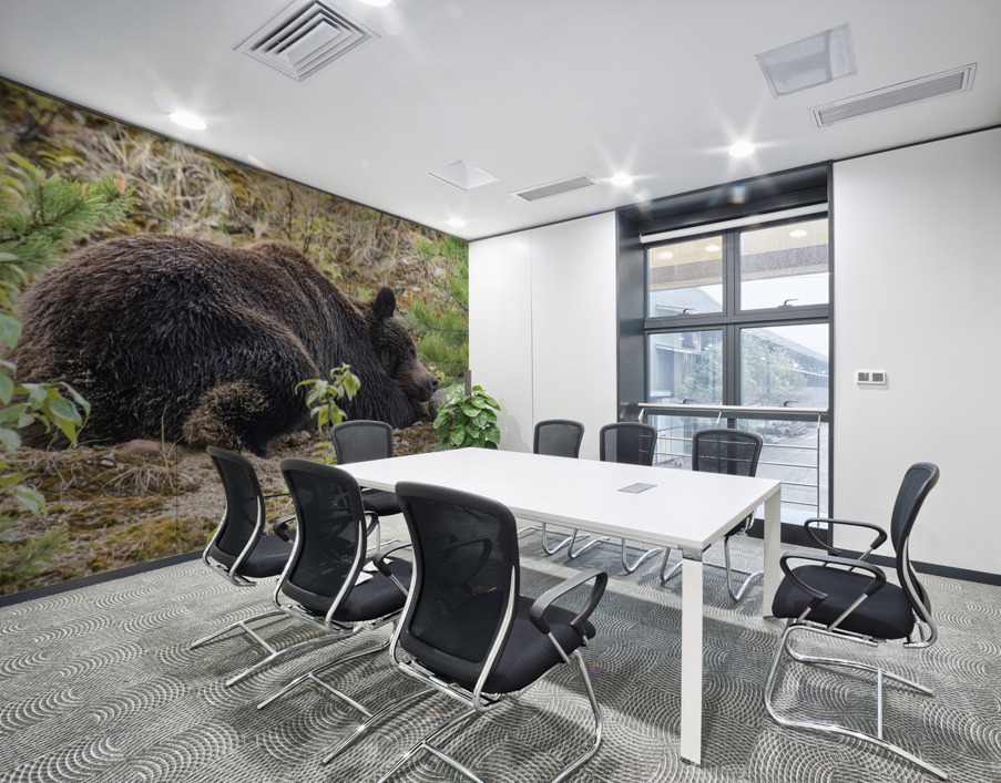 Grizzly Boar Wall Printing