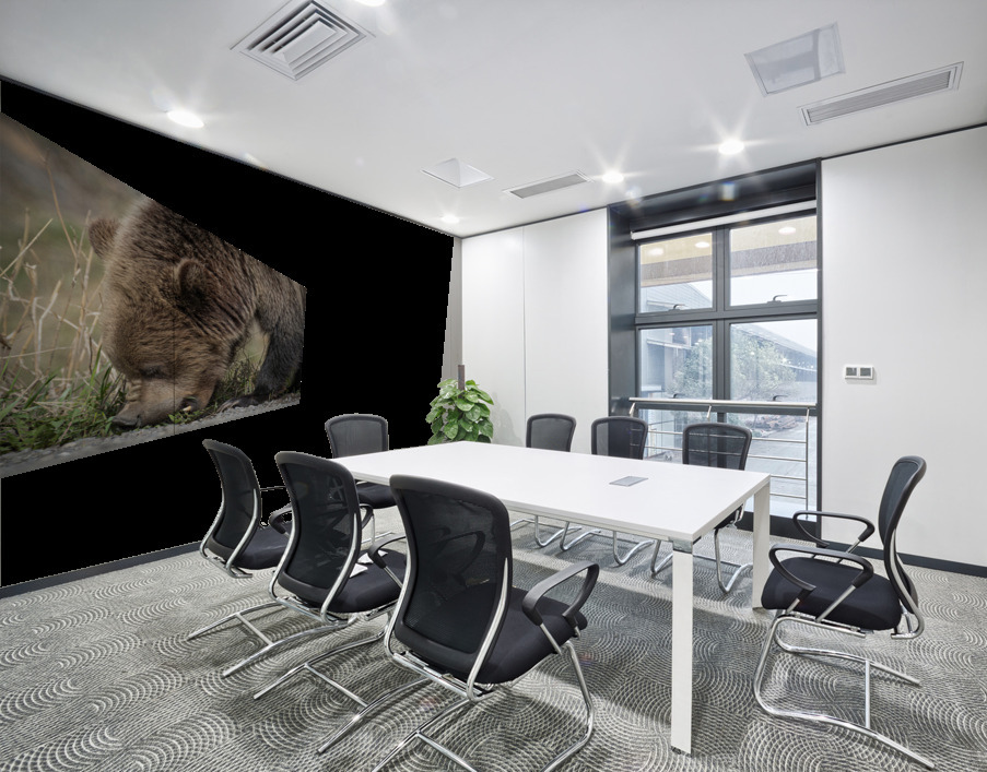 Grizzly Boar Wall Printing