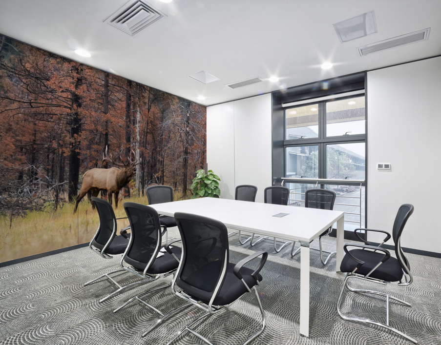 Bull Elk Wall Printing