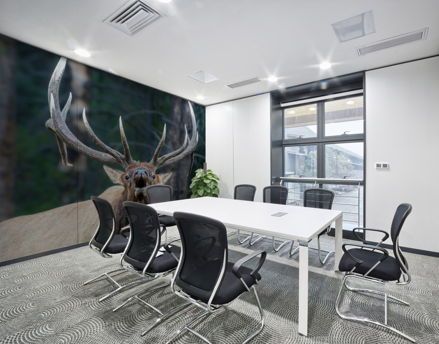 Bull Elk Wall Printing
