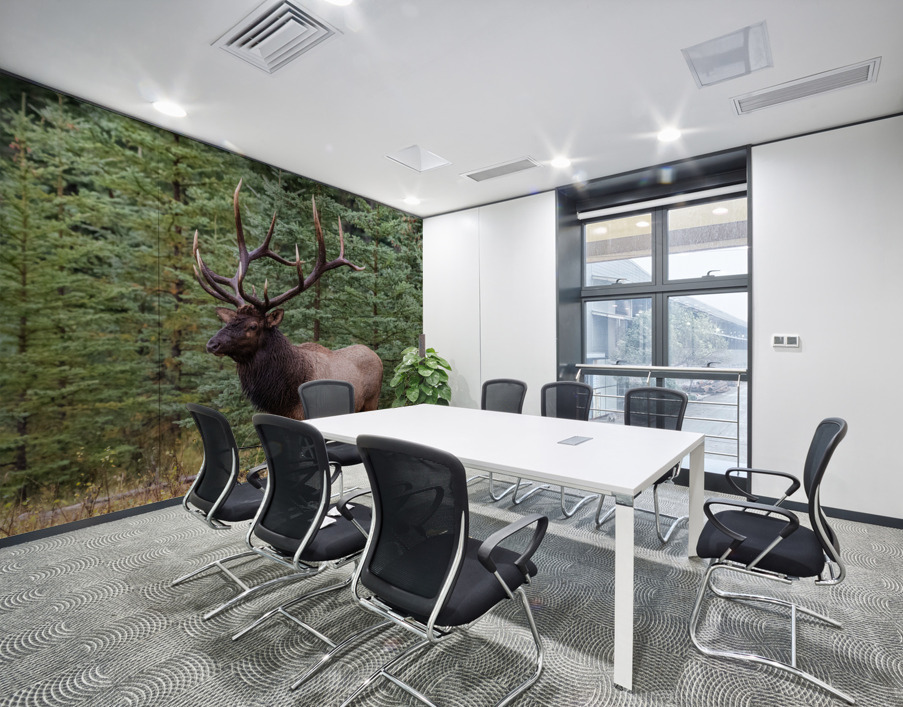 Bull Elk Wall Printing