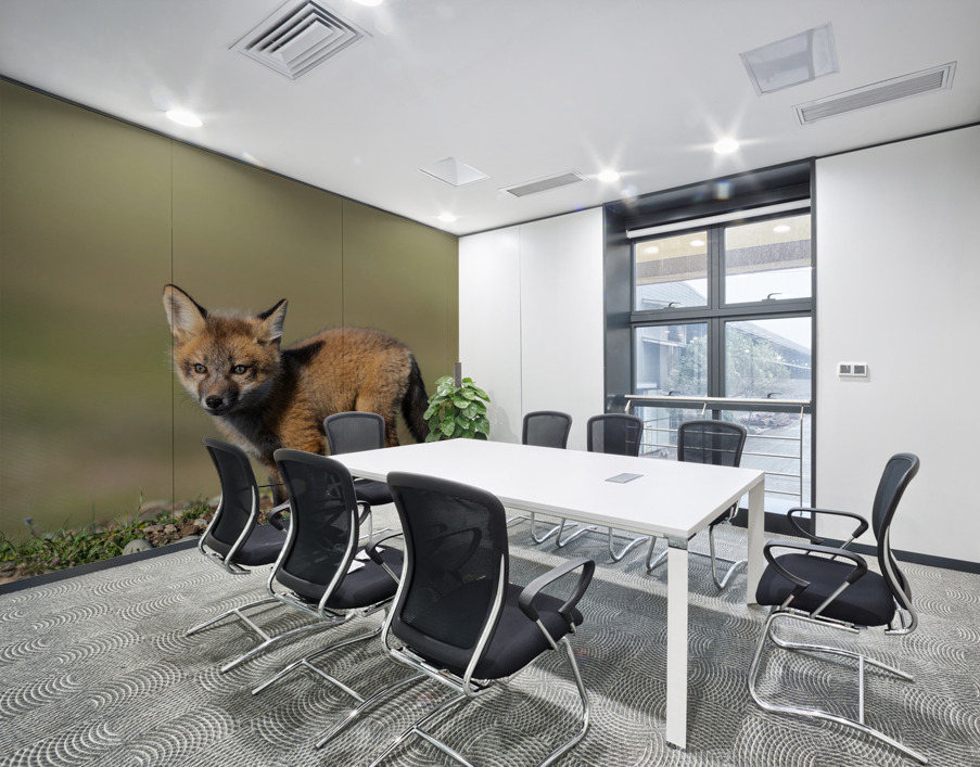 Red Fox Kit Wall Printing