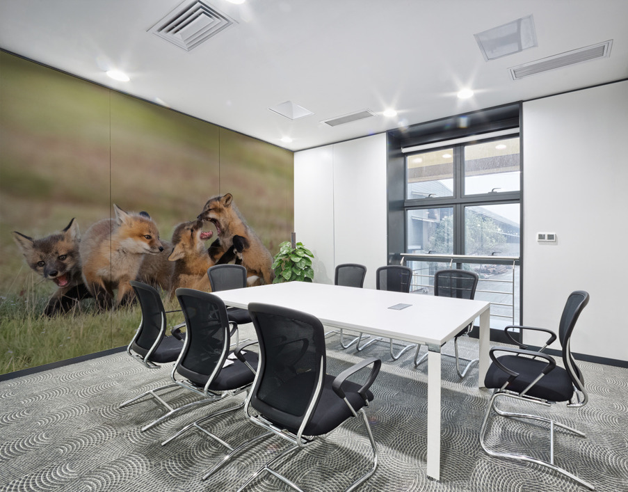 Red Fox Kits Wall Printing