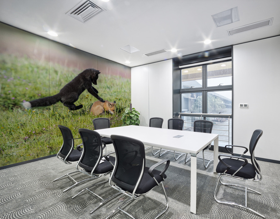 Red Fox Kits Wall Printing