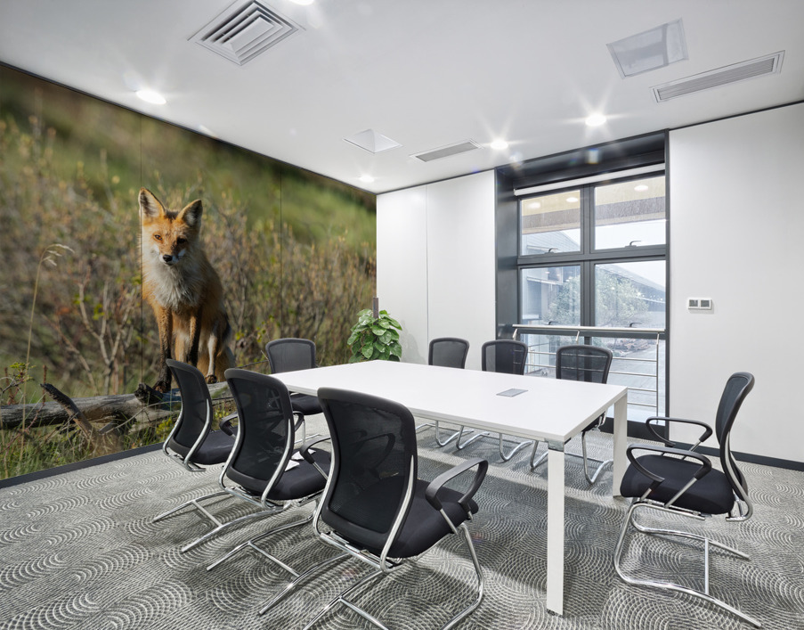 Red Fox Wall Printing