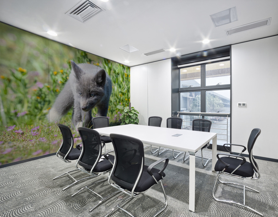 Red Fox Kit Wall Printing