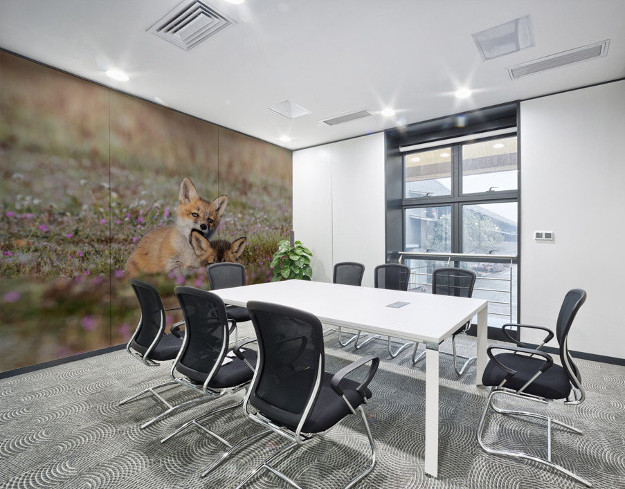 Red Fox Kits Wall Printing
