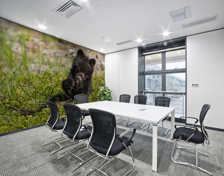 Black Bear Cub Wall Printing