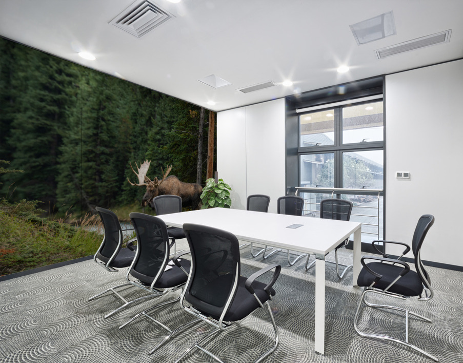 Bull Moose Wall Printing