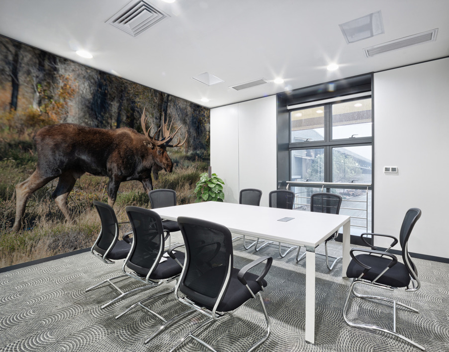 Bull Moose Wall Printing