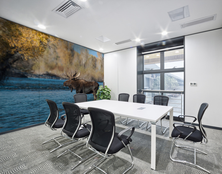 Bull Moose Wall Printing