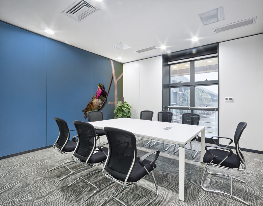 Male Calliope Hummingbird Wall Printing