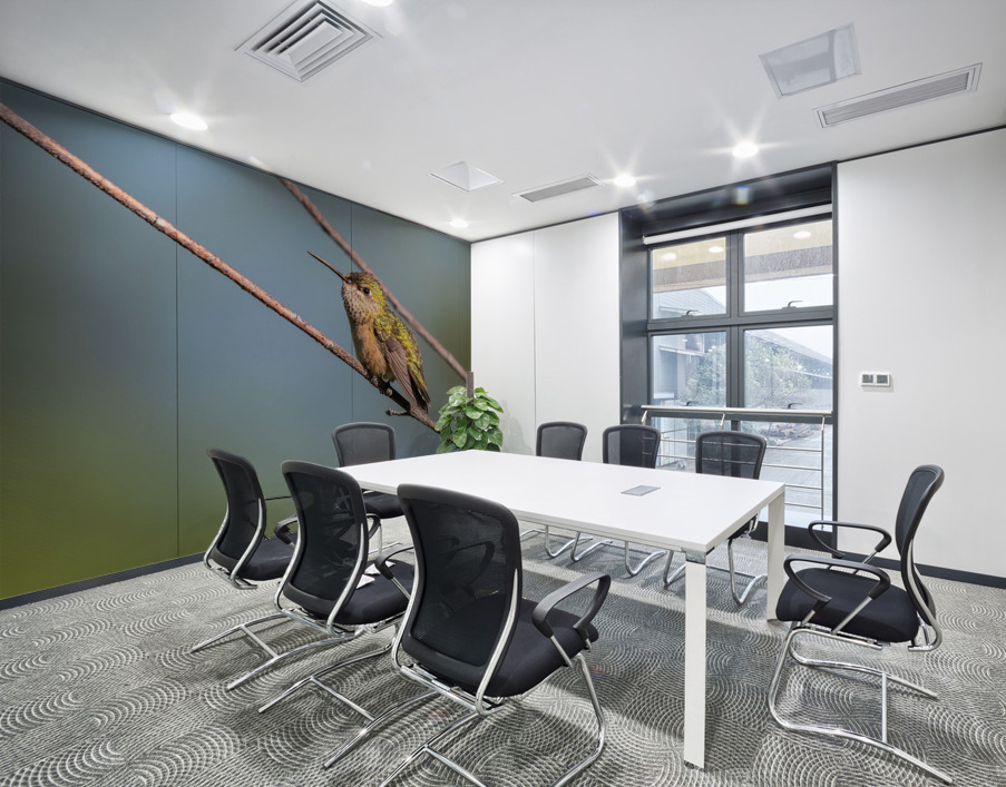 Female Calliope Hummingbird Wall Printing