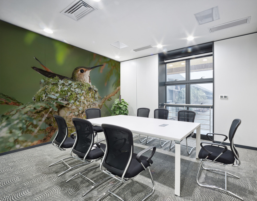 Female Rufous Hummingbird Wall Printing