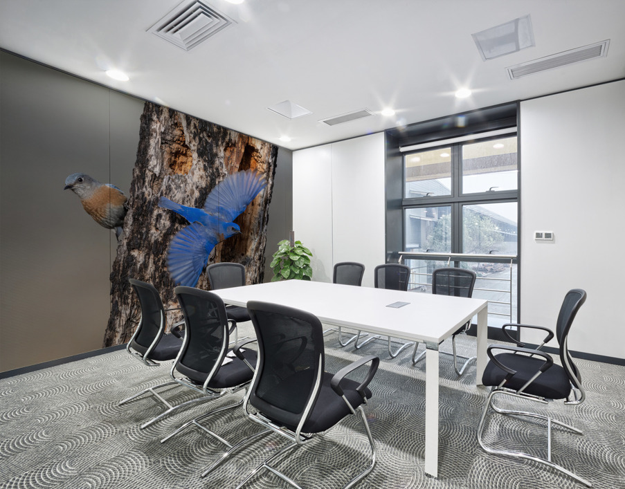 Western Bluebirds Wall Printing