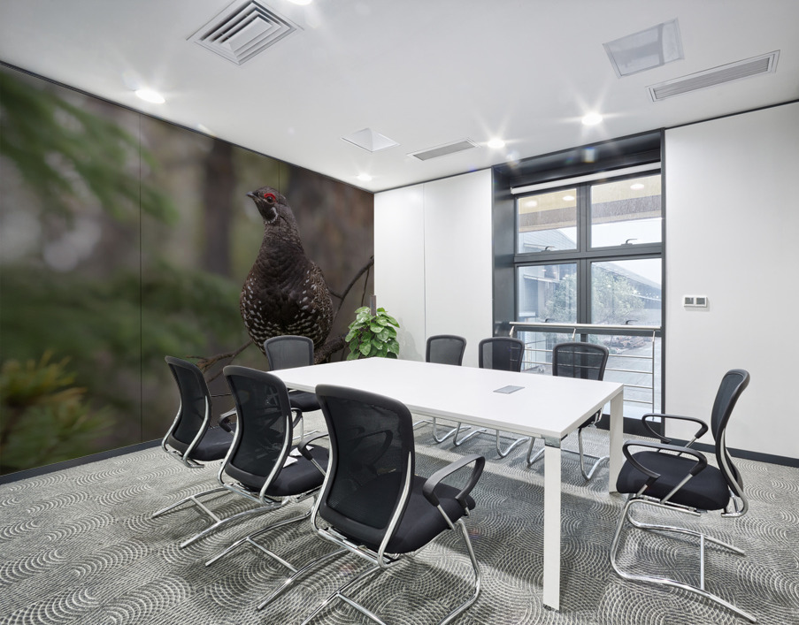 Male Spruce Grouse Wall Printing