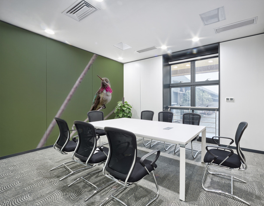 Male Calliope Hummingbird Wall Printing