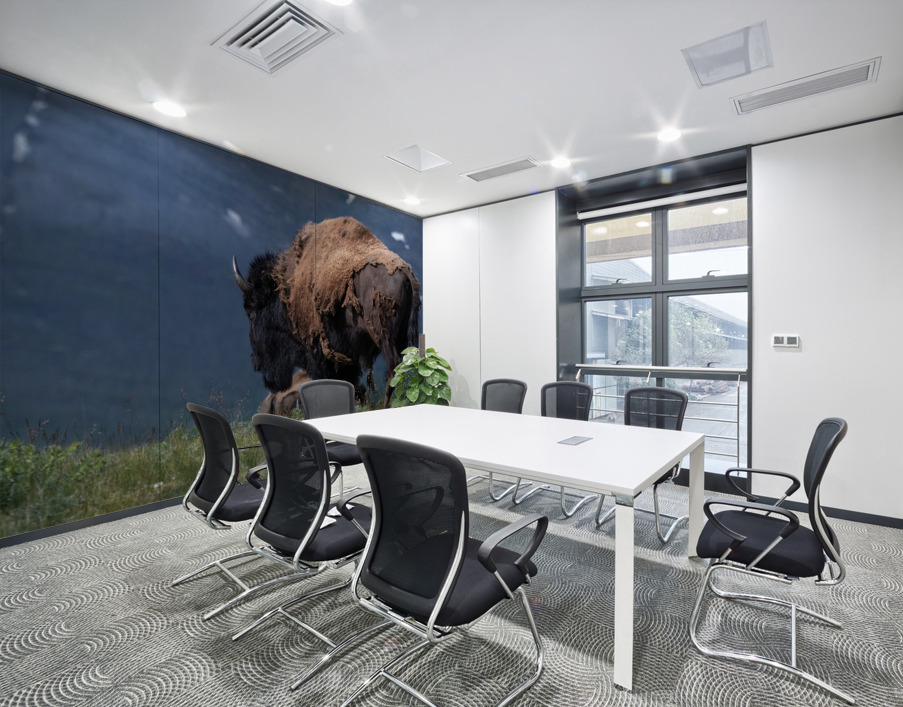 Male Bison Wall Printing