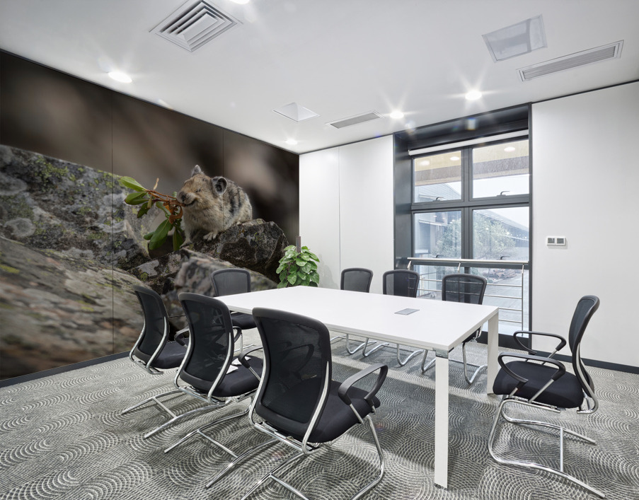 American Pika Wall Printing