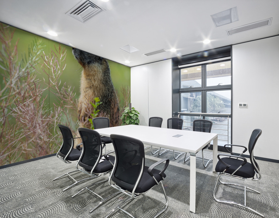 Yellow-bellied Marmot Wall Printing