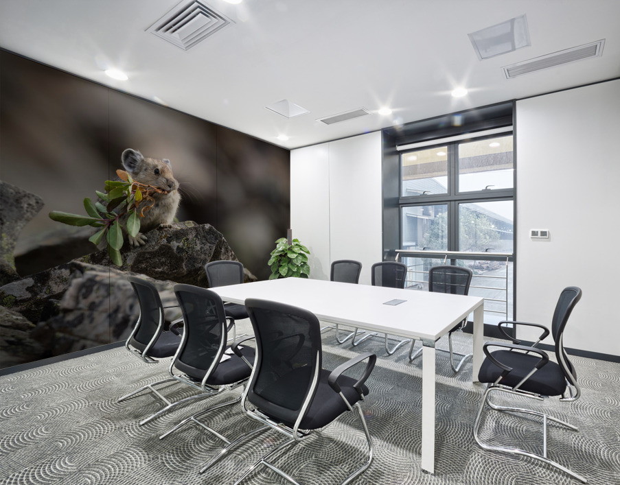 American Pika Wall Printing